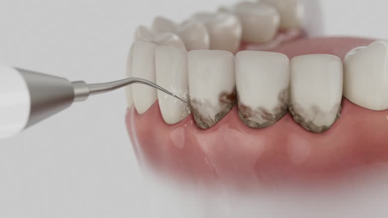 Reliable Dental contractor in Calumet City, IL by Dentist Open Now